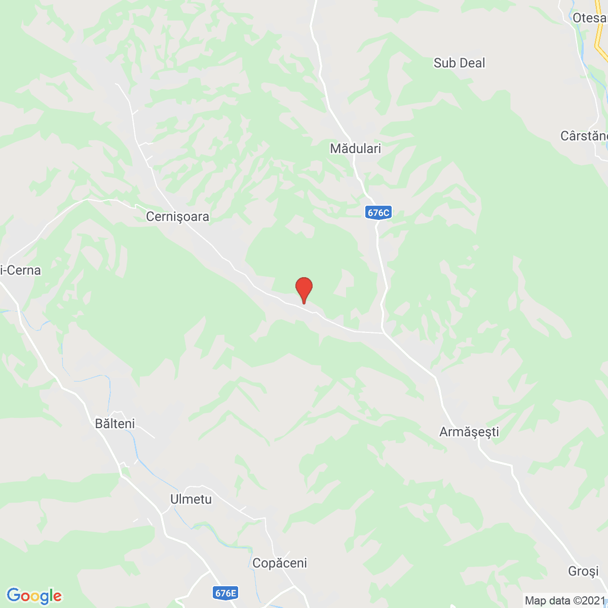 Cernişoara
