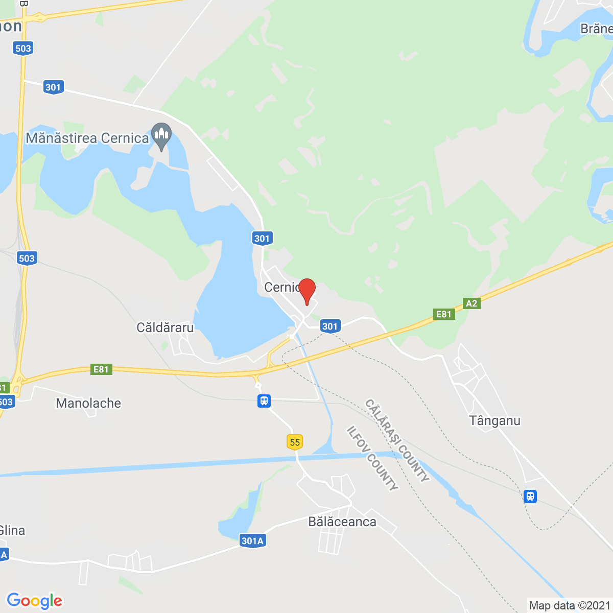 Cernica