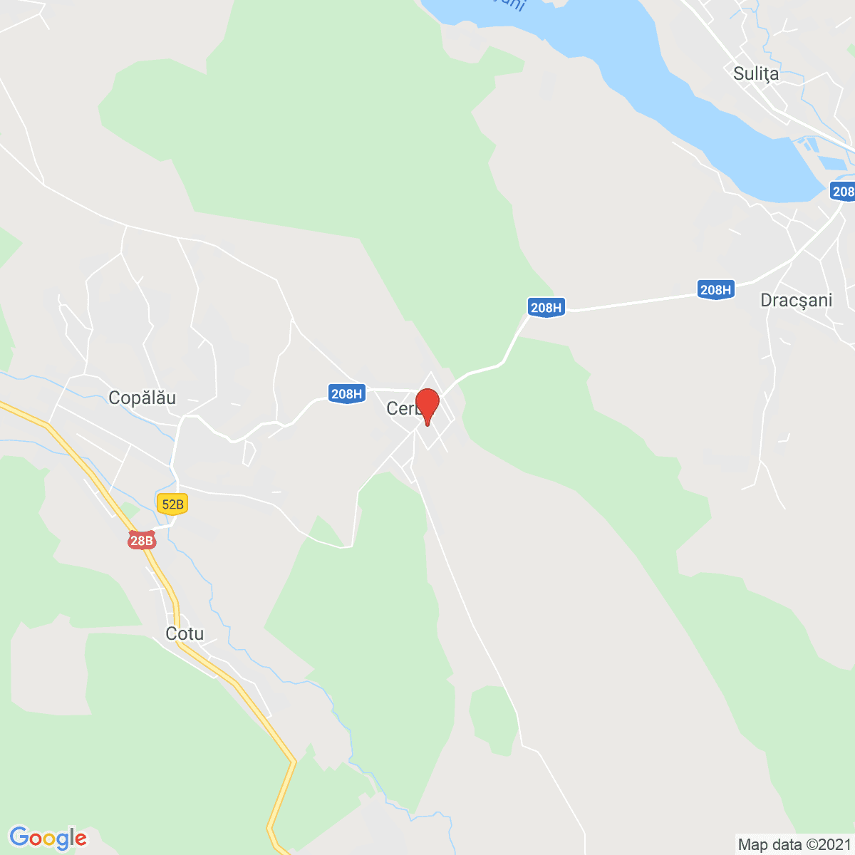 Cerbu