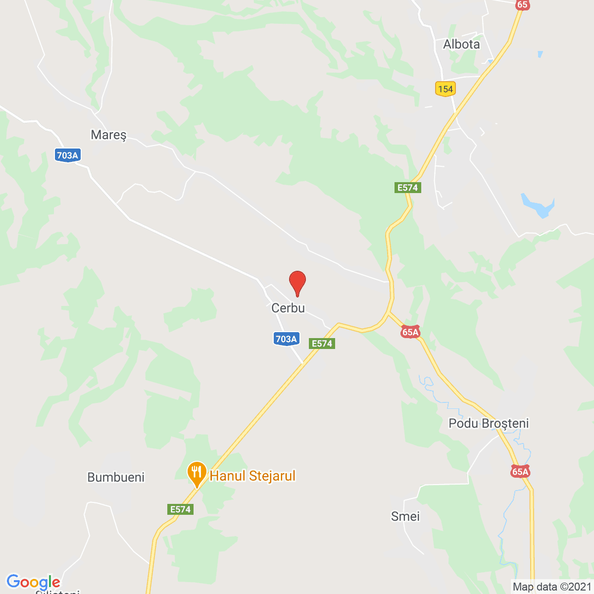 Cerbu