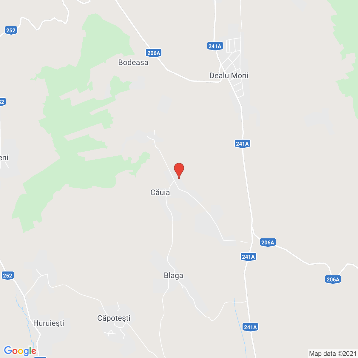 Căuia