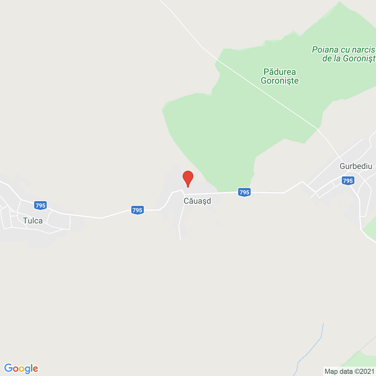 Căuașd