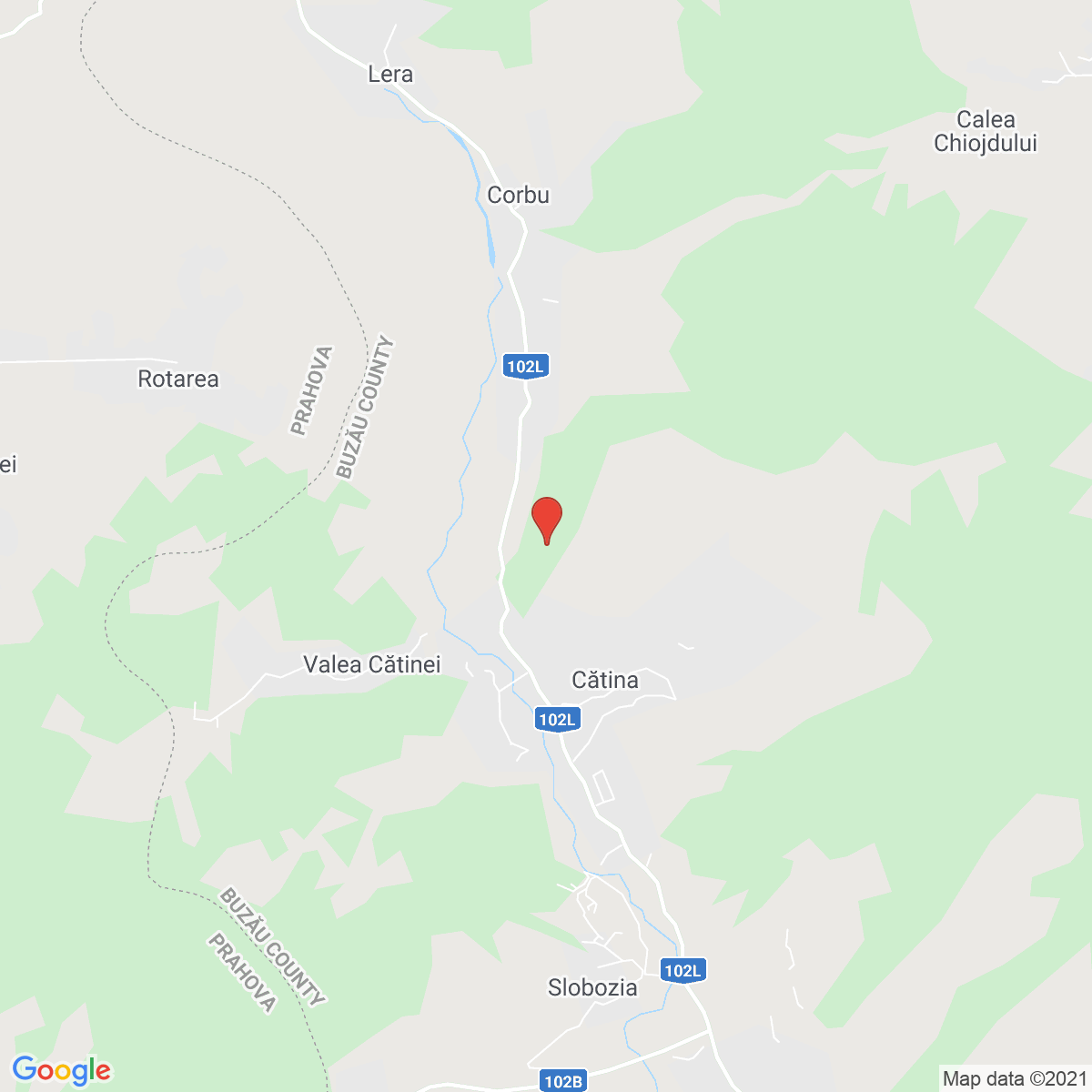 Cătina