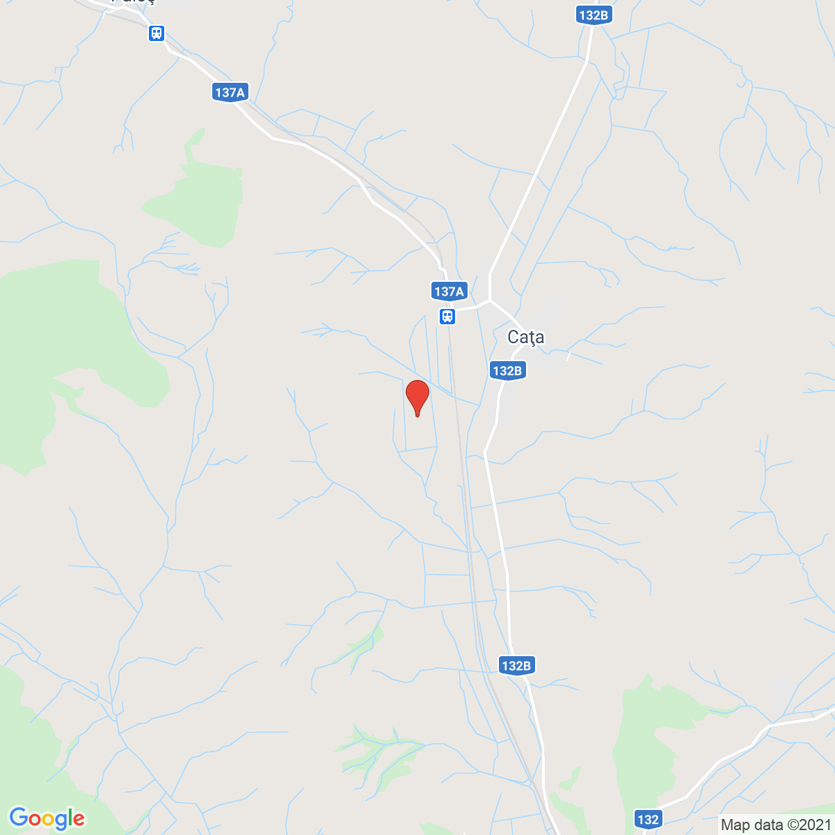 Caţa