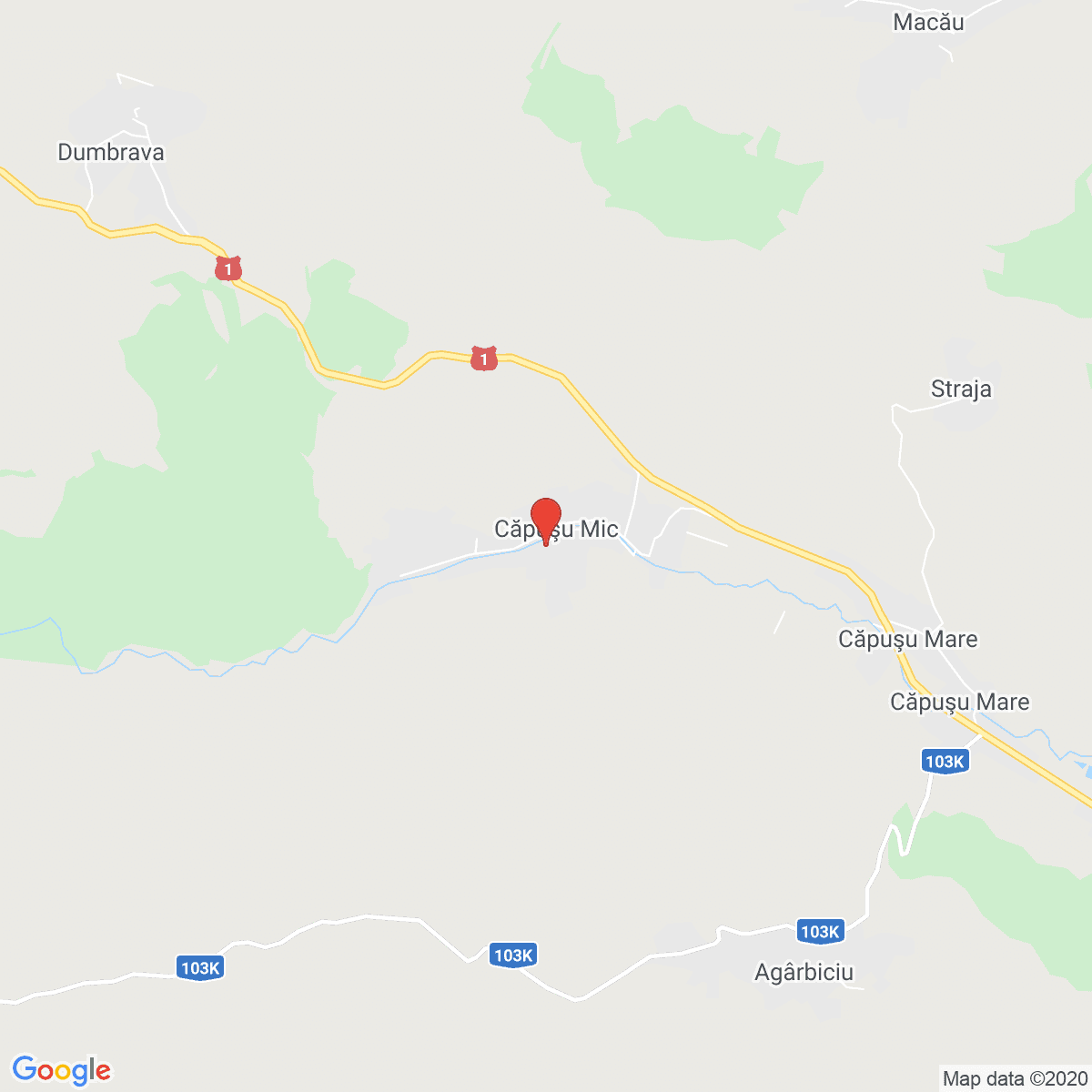 Căpușu Mic