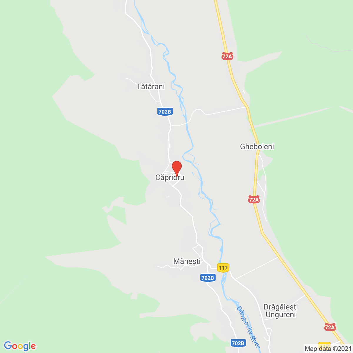 Căprioru