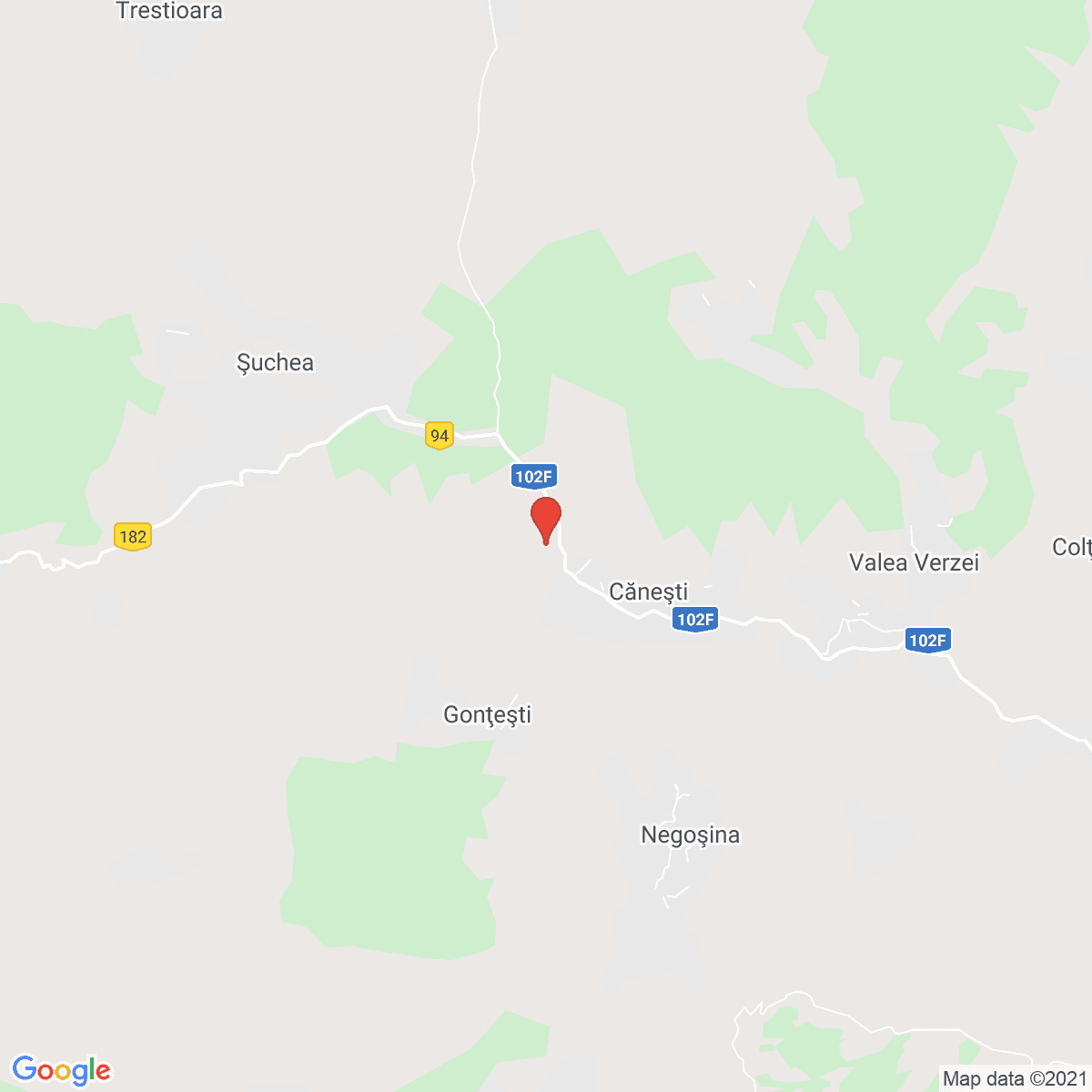 Căneşti