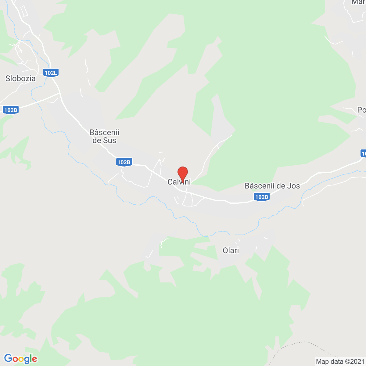Calvini
