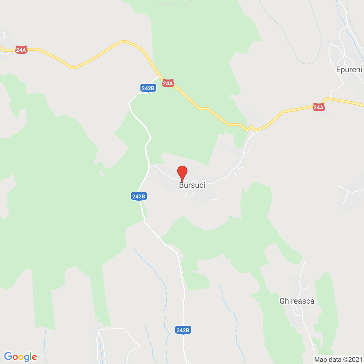 Bursuci