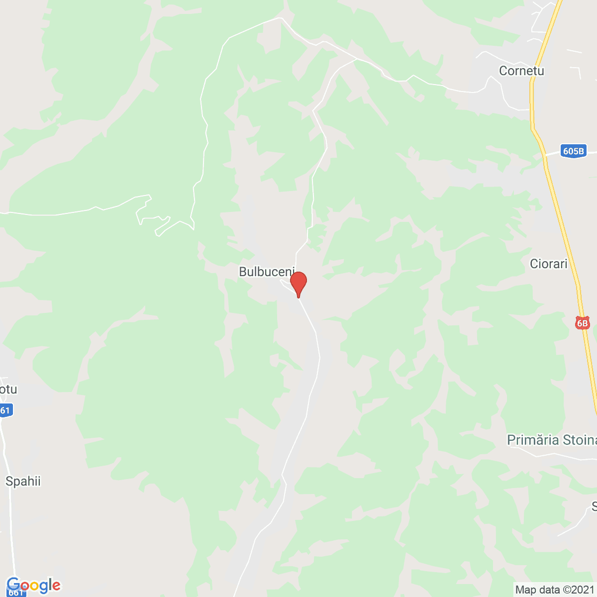 Bulbuceni