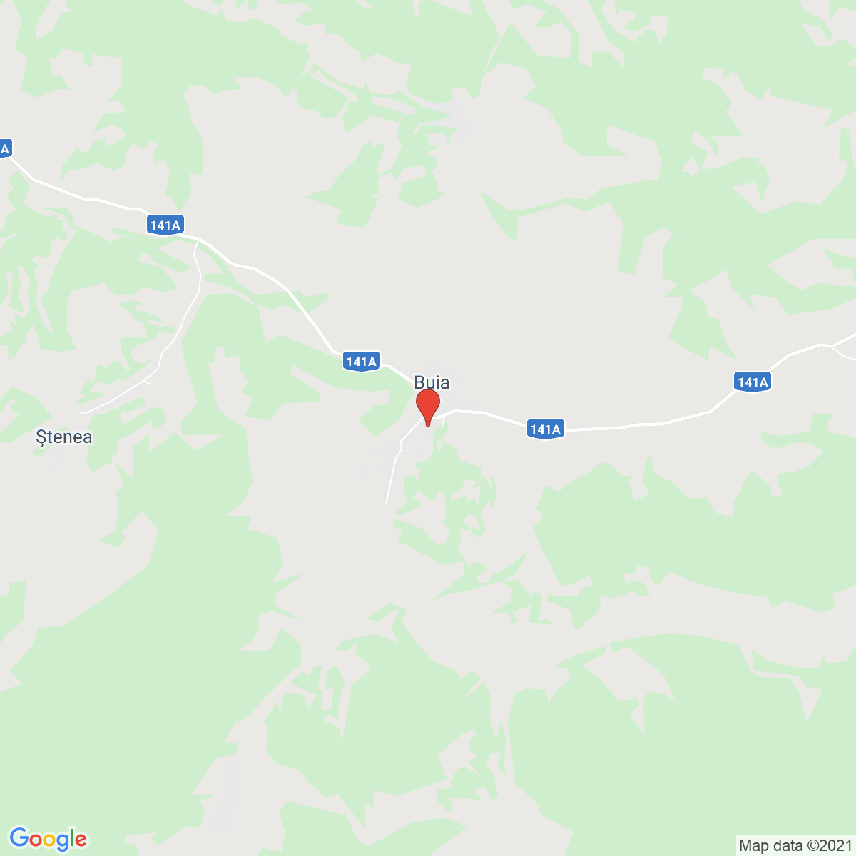 Buia