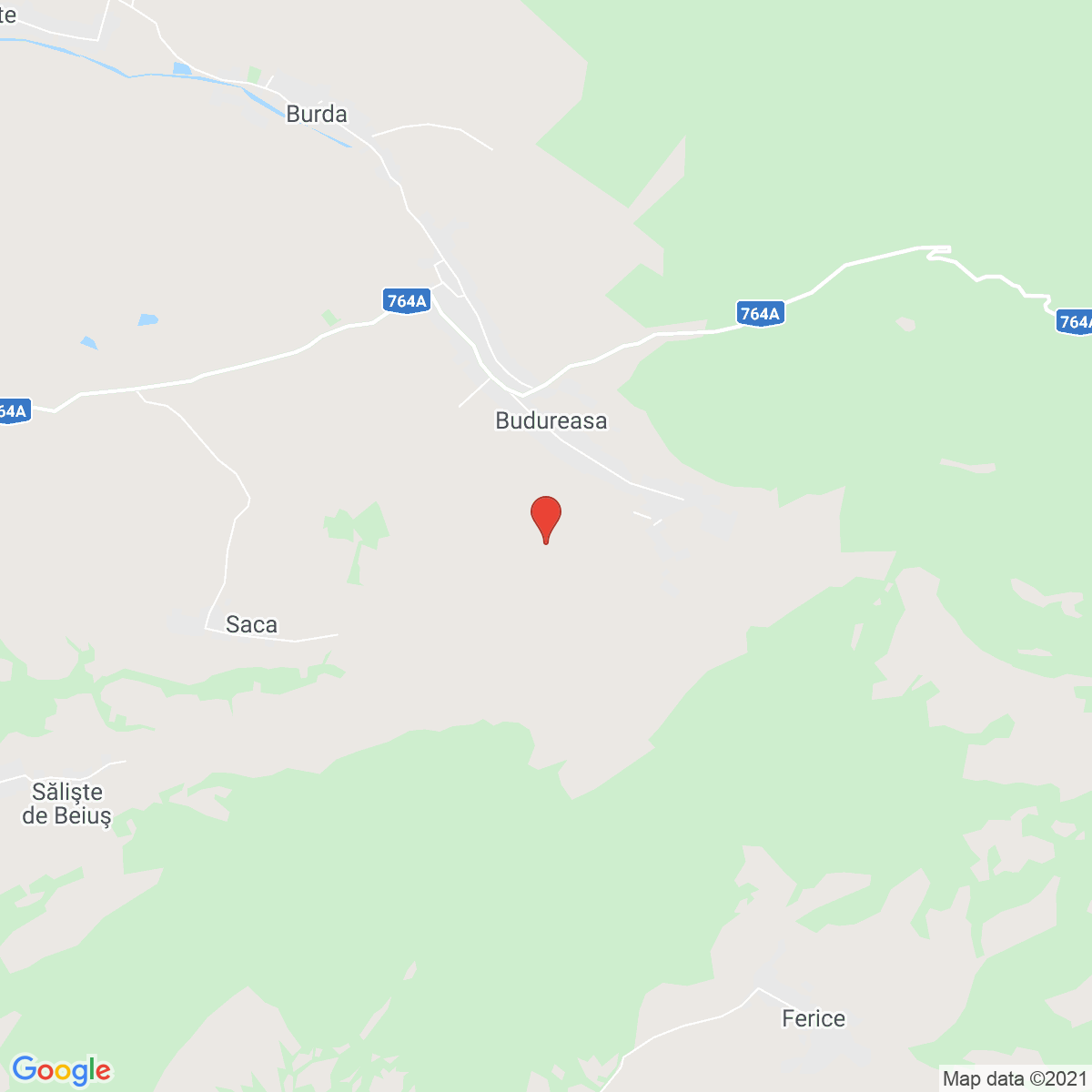 Budureasa