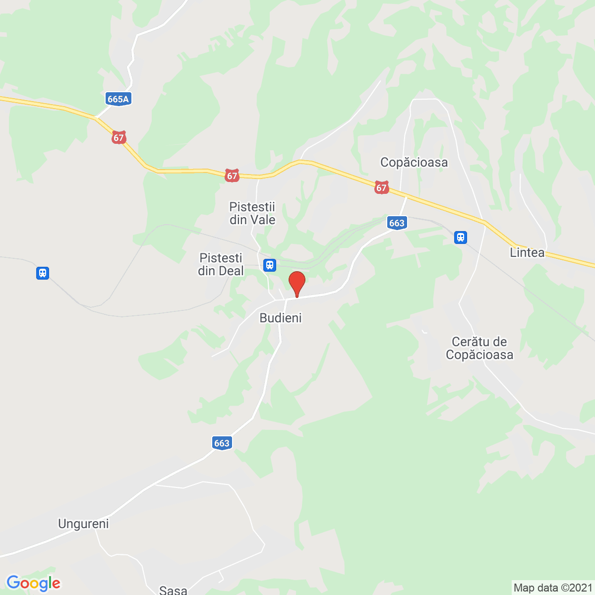 Budieni