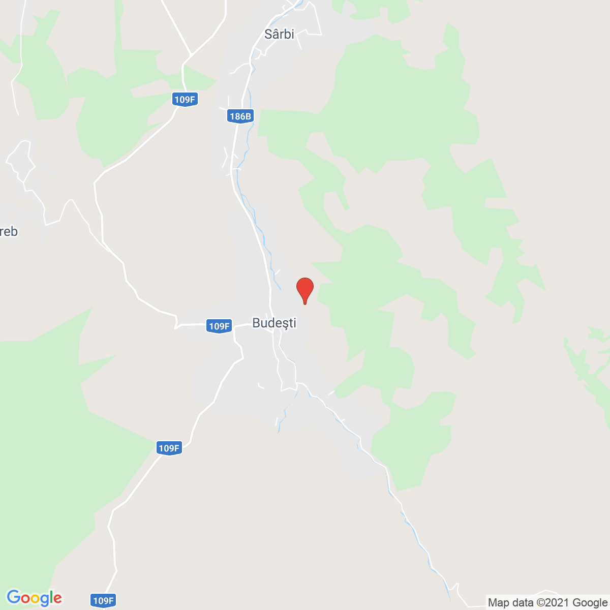 Budeşti