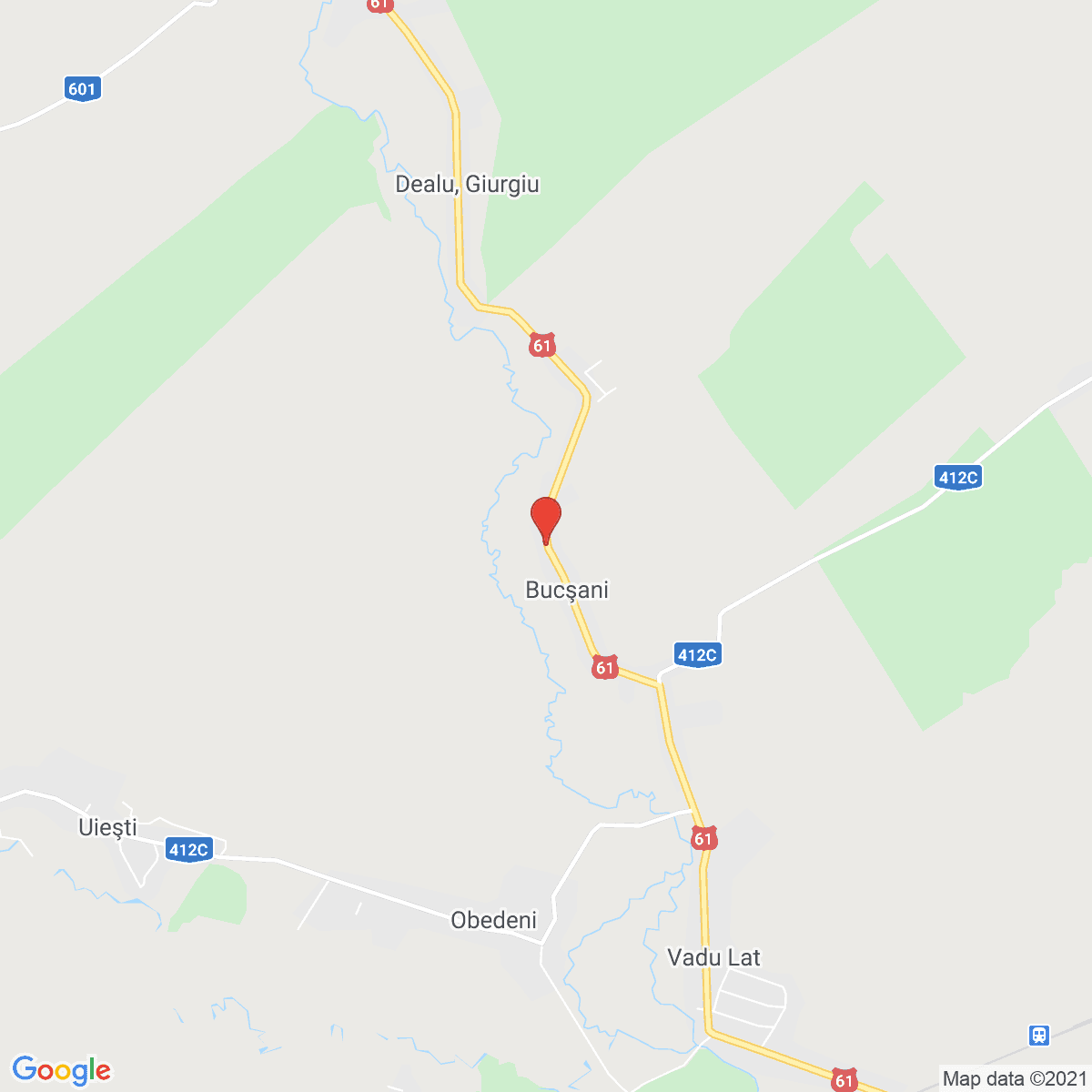 Bucşani