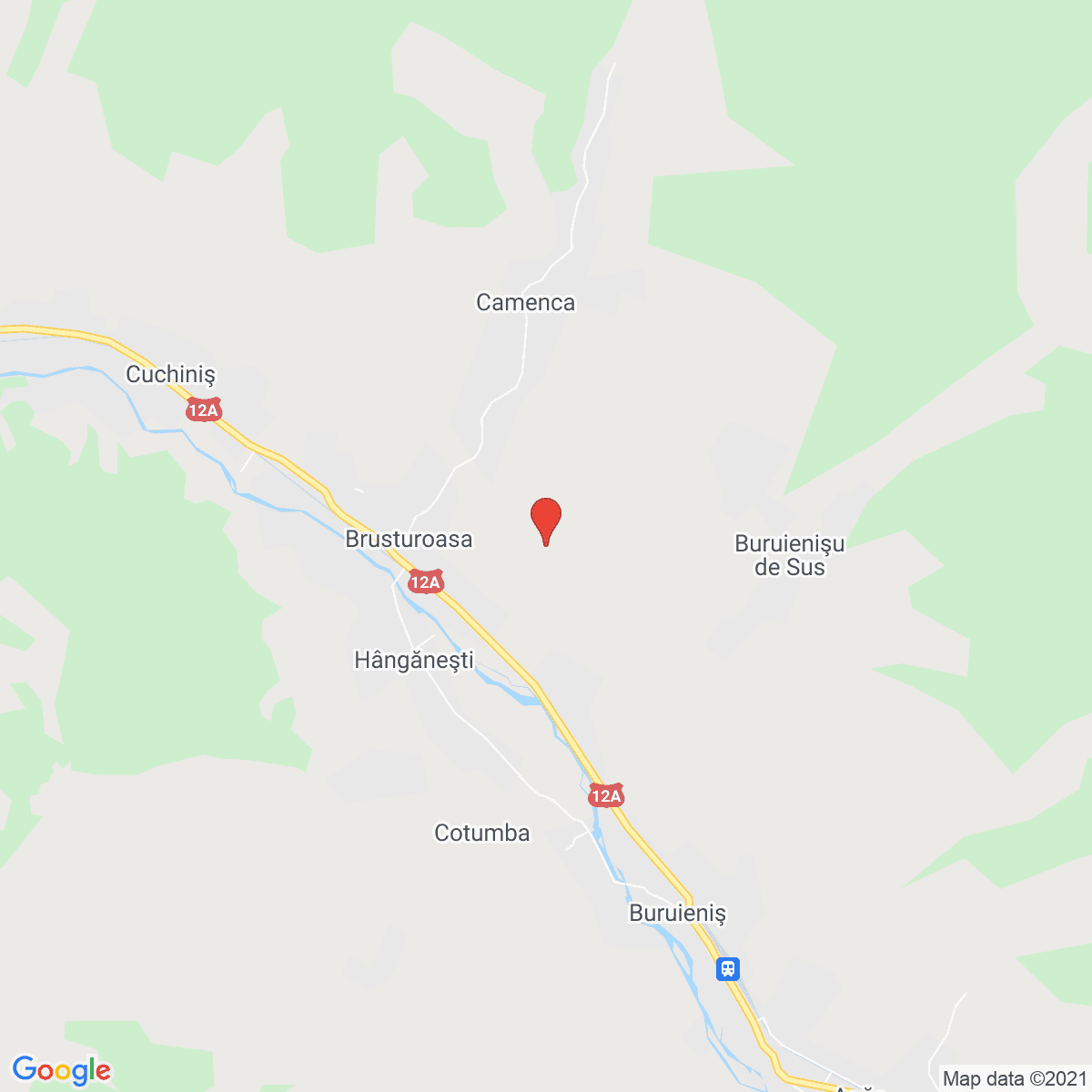 Brusturoasa