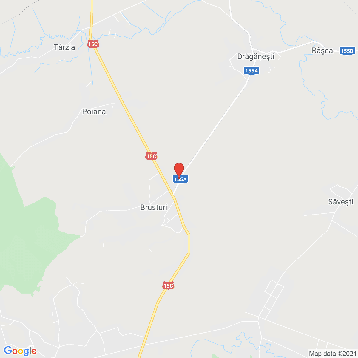 Brusturi