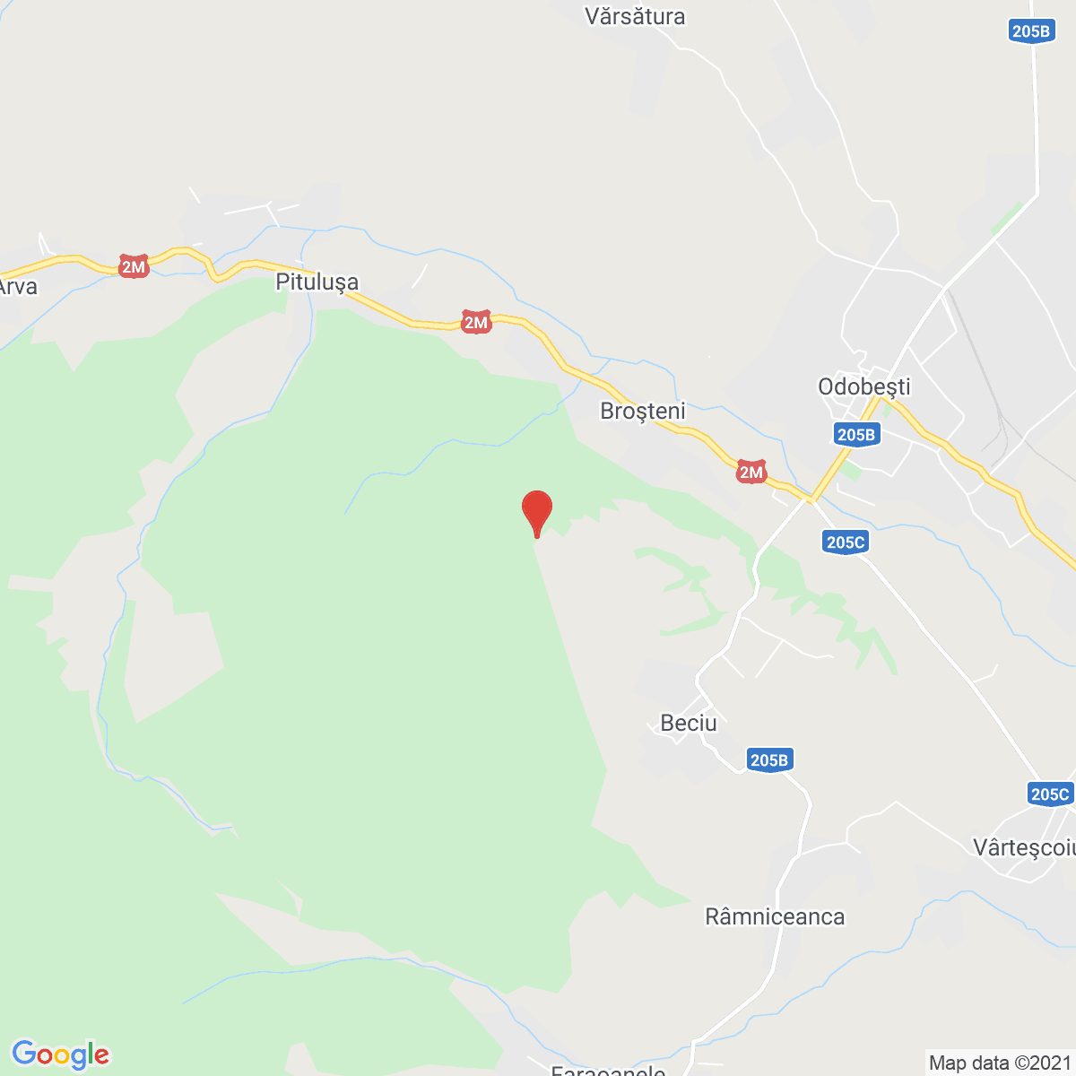 Broşteni