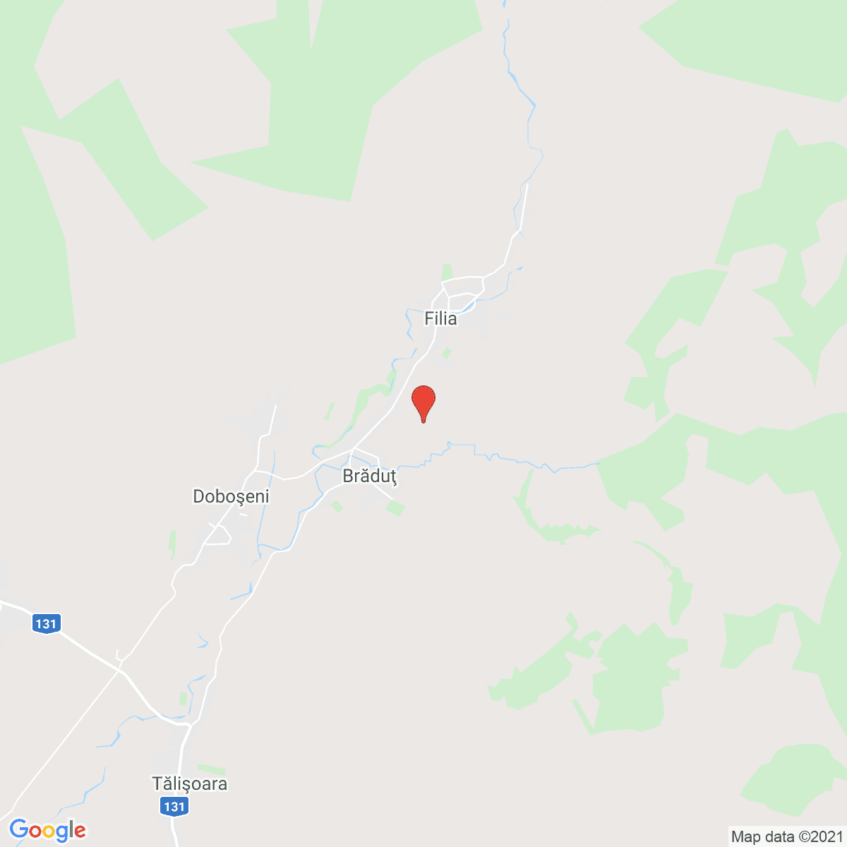 Brăduţ
