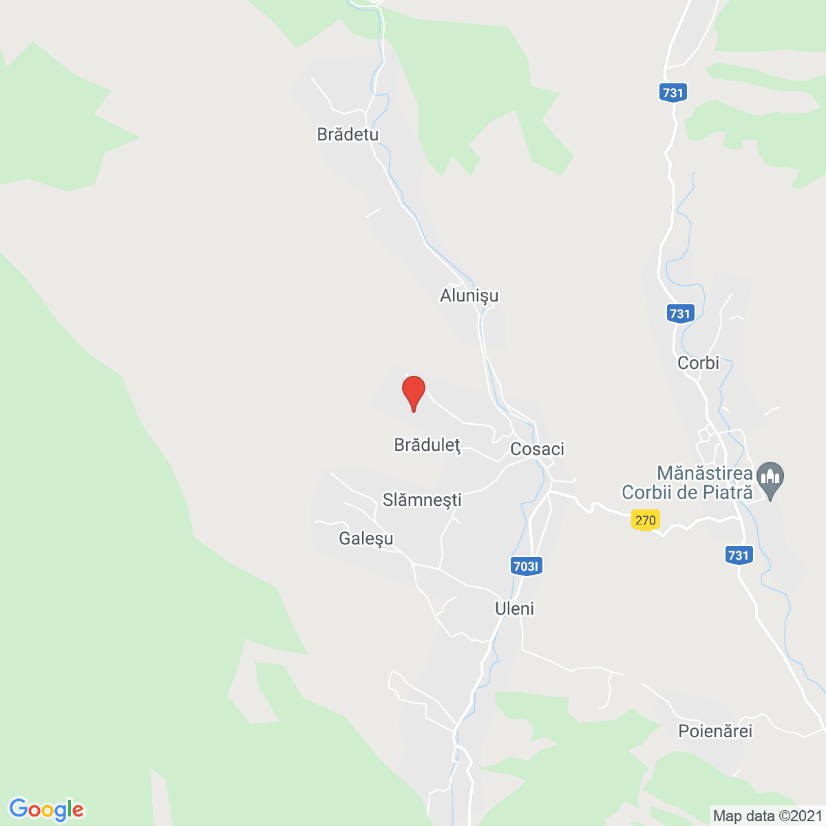 Brăduleţ