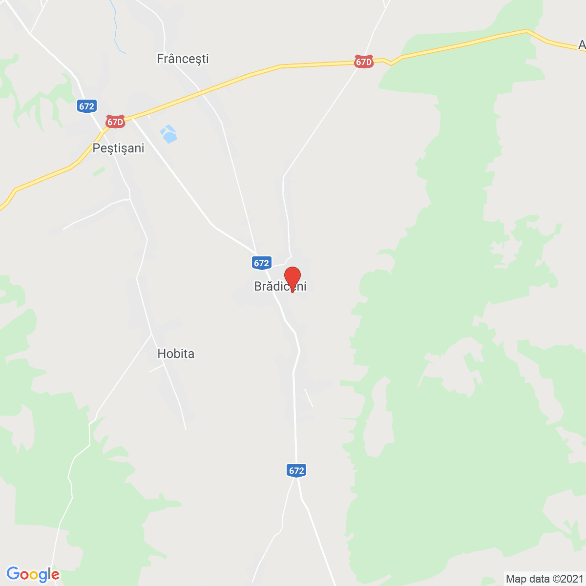 Brădiceni