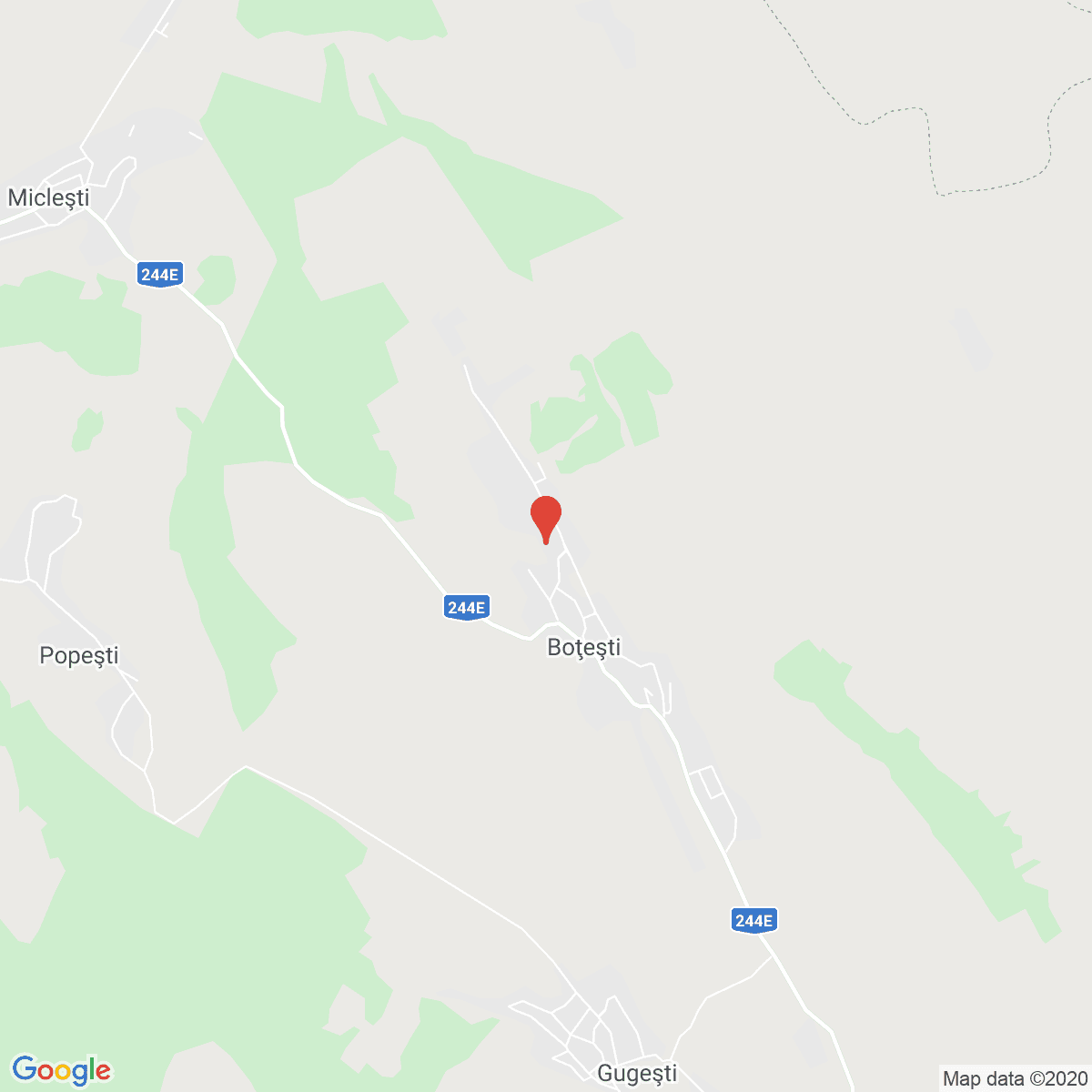 Boţeşti