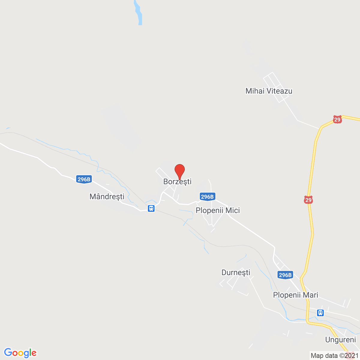 Borzești