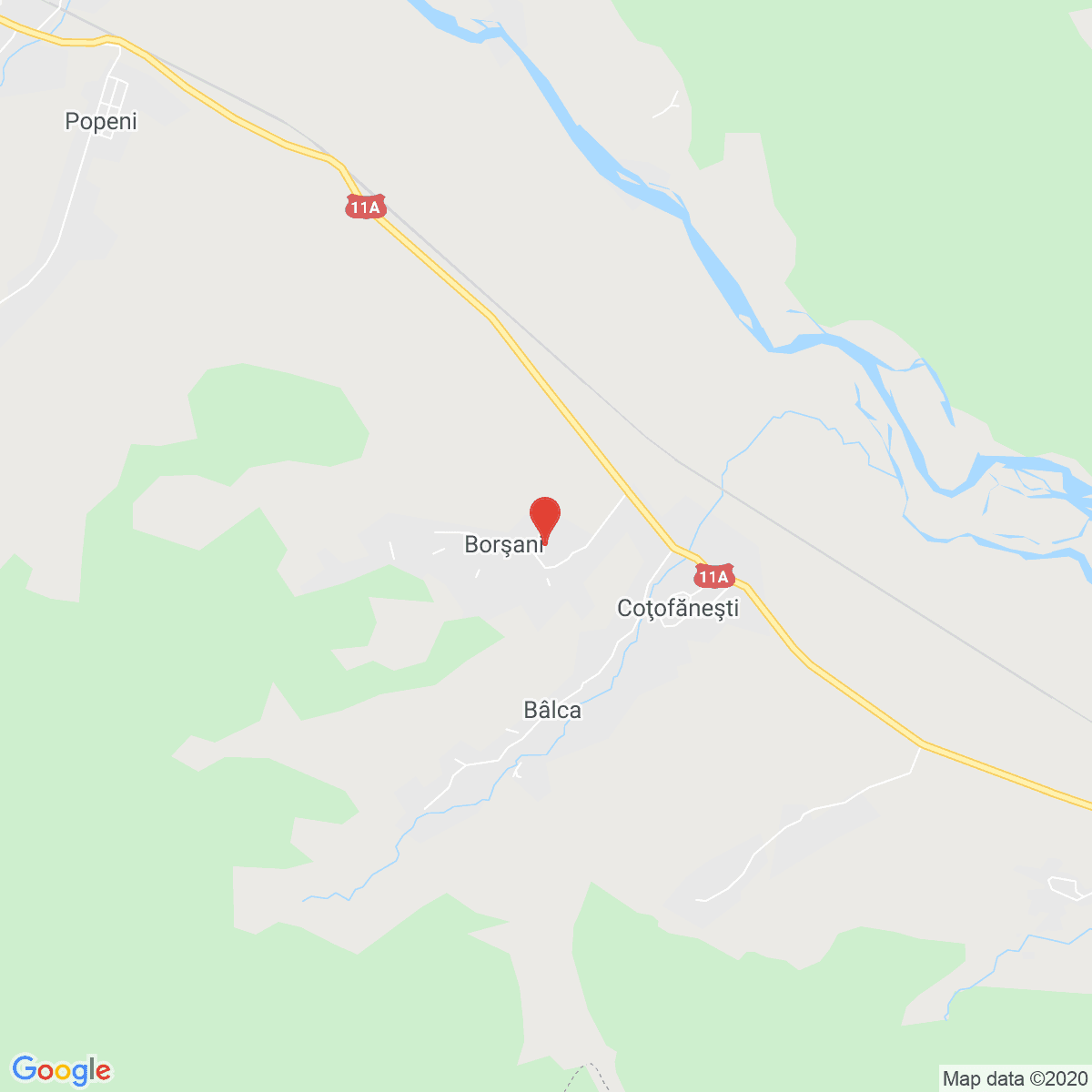 Borșani