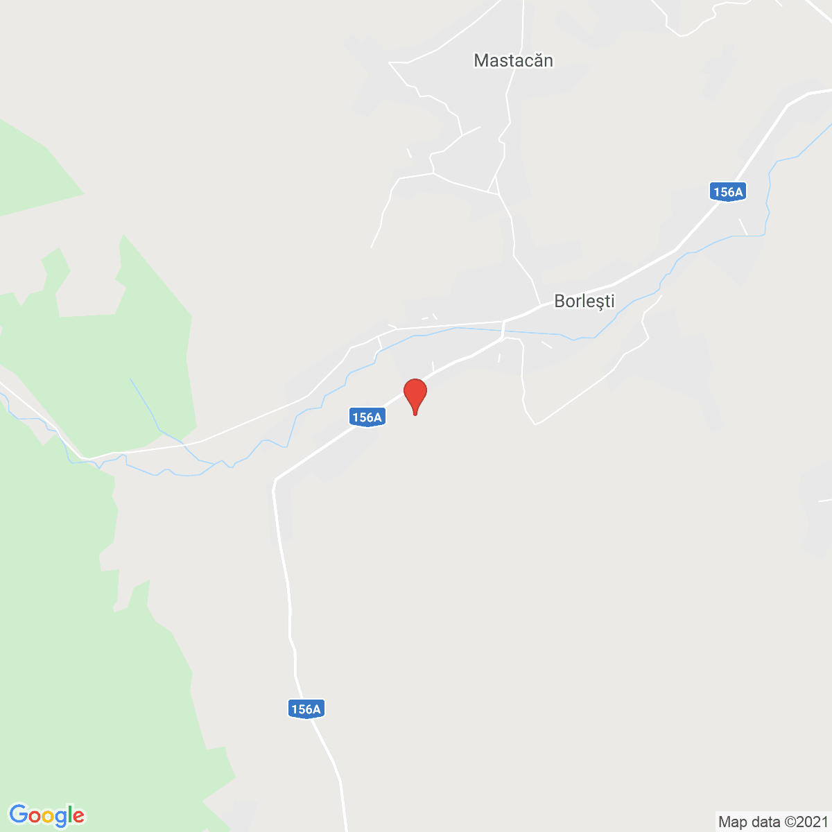 Borleşti