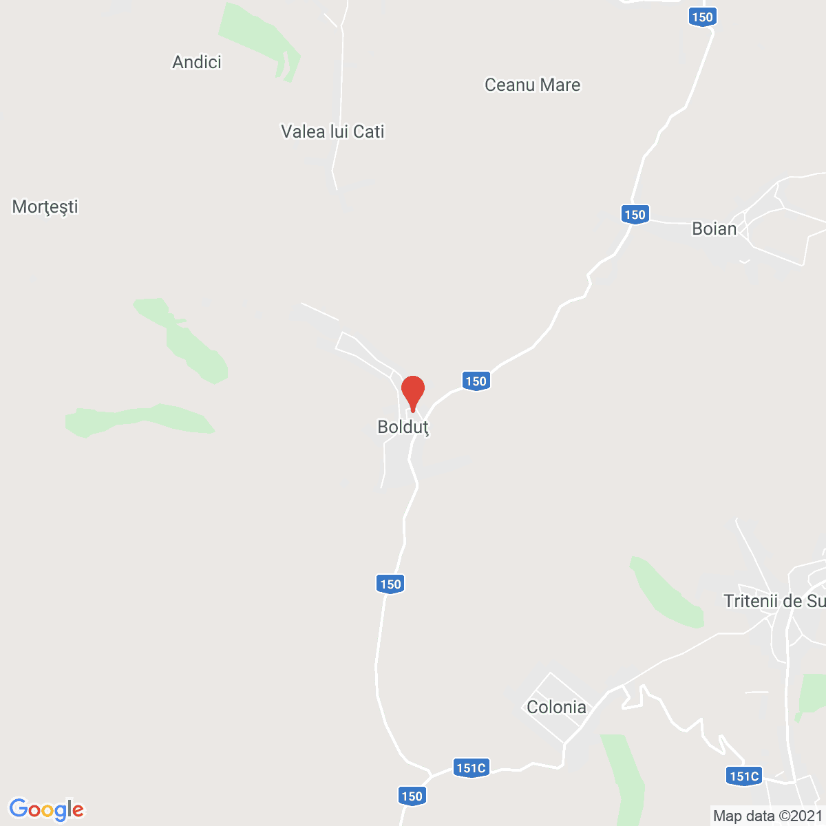 Bolduț