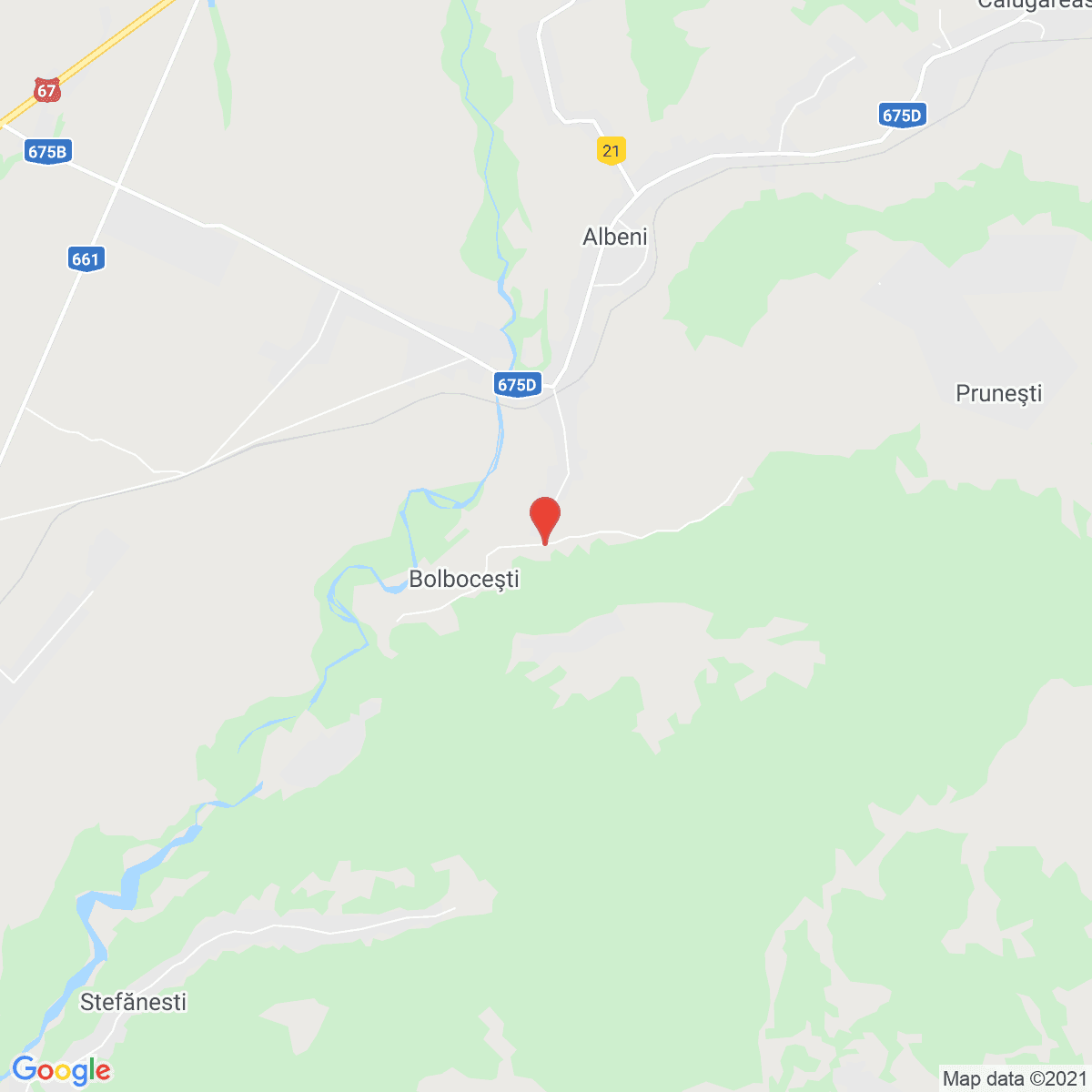 Bolbocești