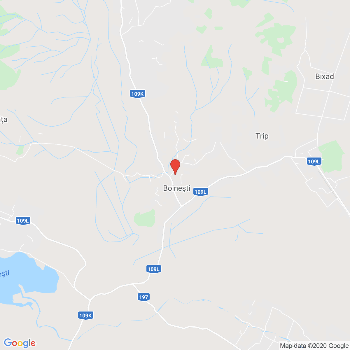 Boinești
