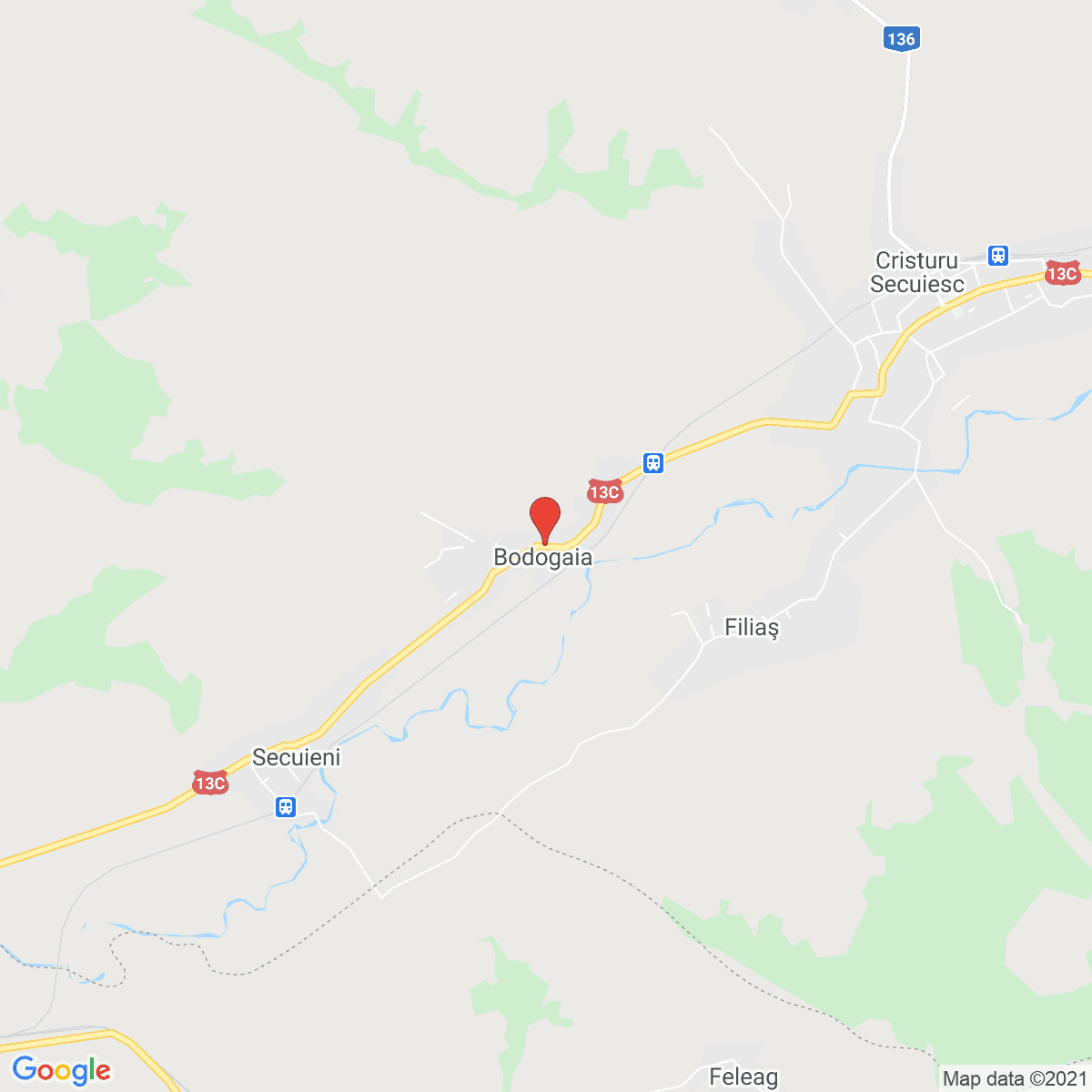 Bodogaia