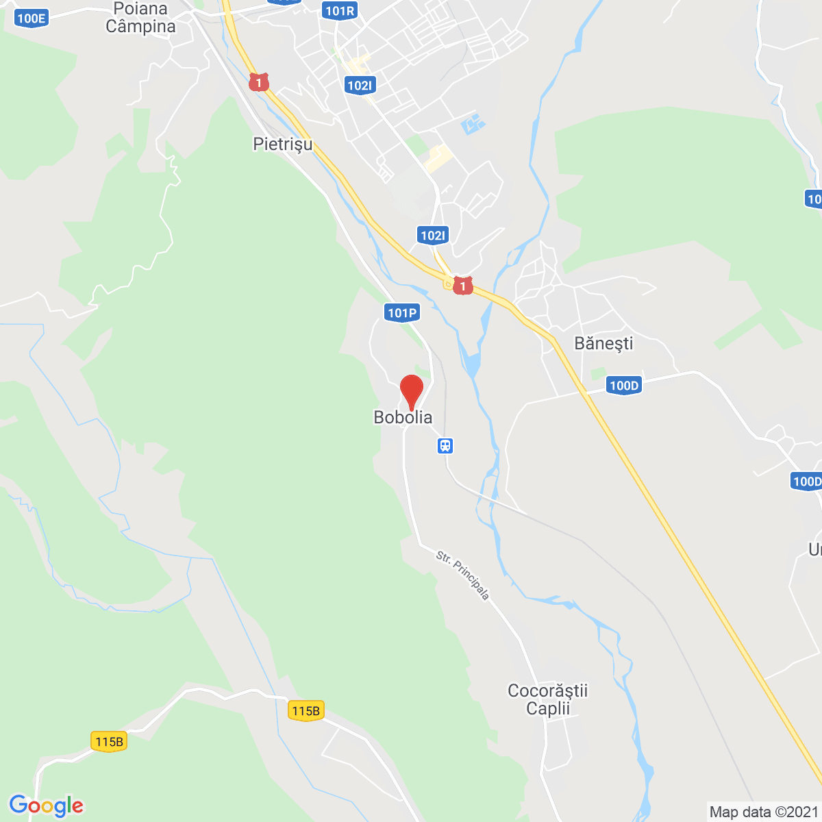 Bobolia