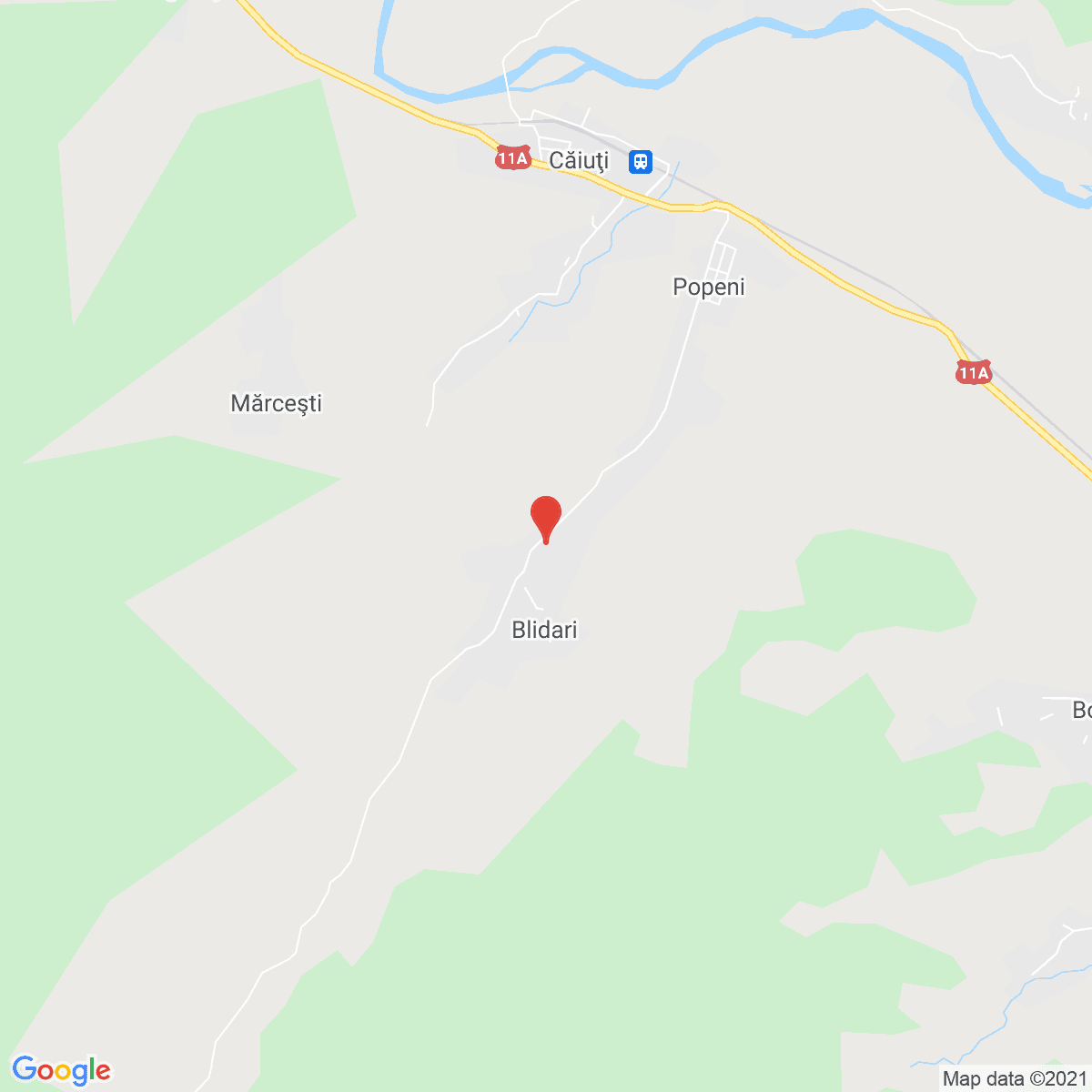 Blidari