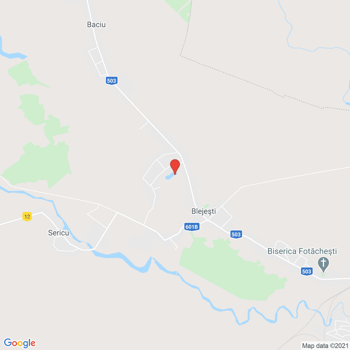Blejeşti