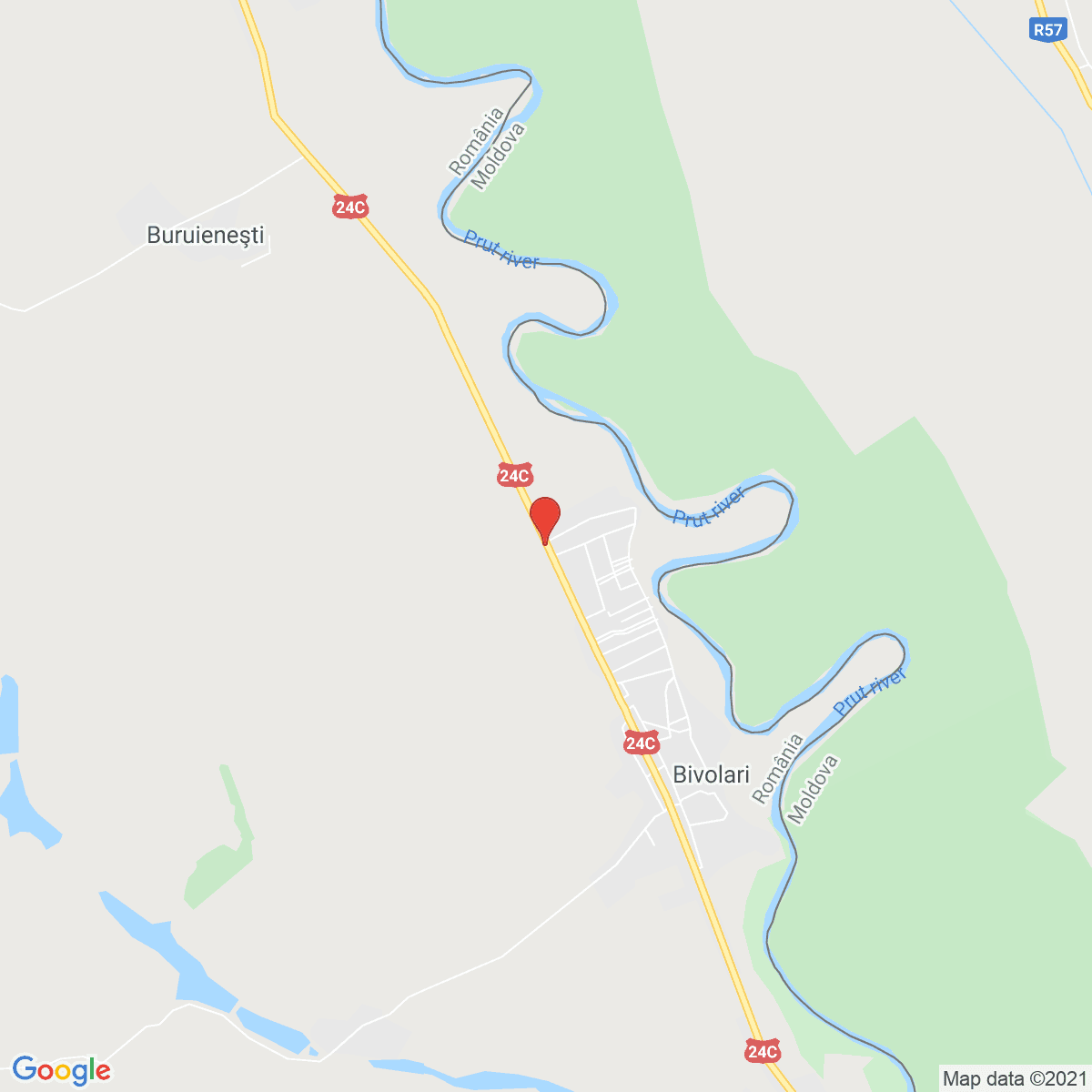 Bivolari