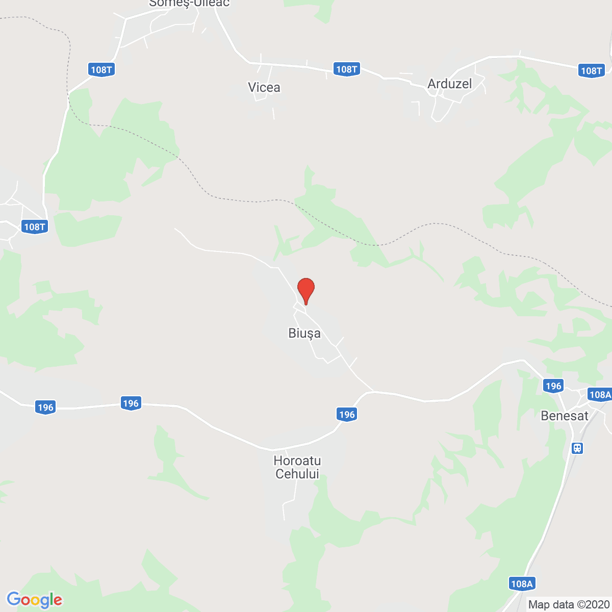 Biușa