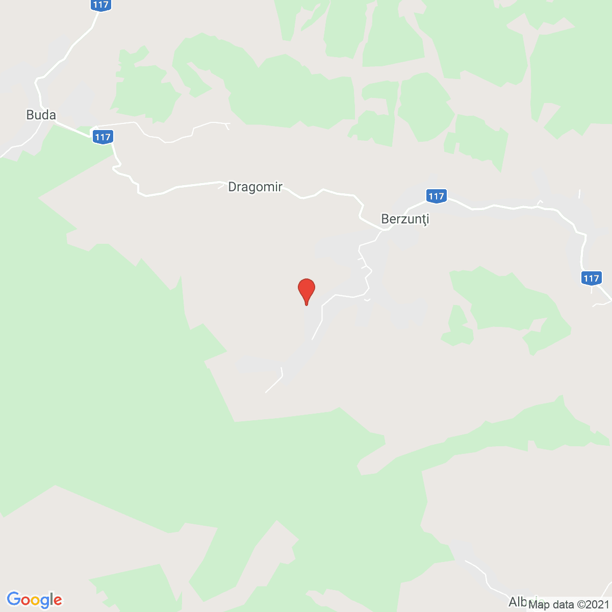 Berzunţi