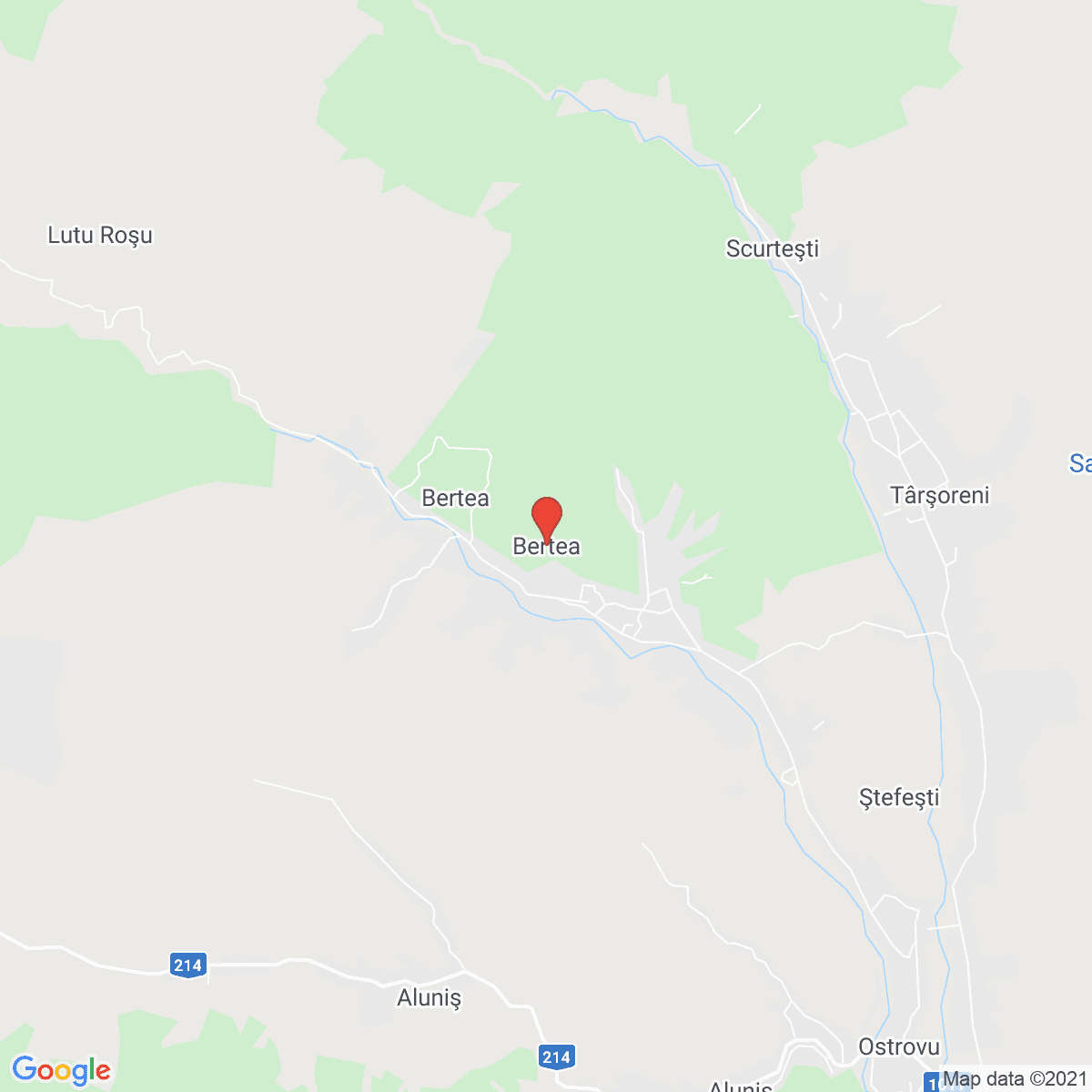 Bertea