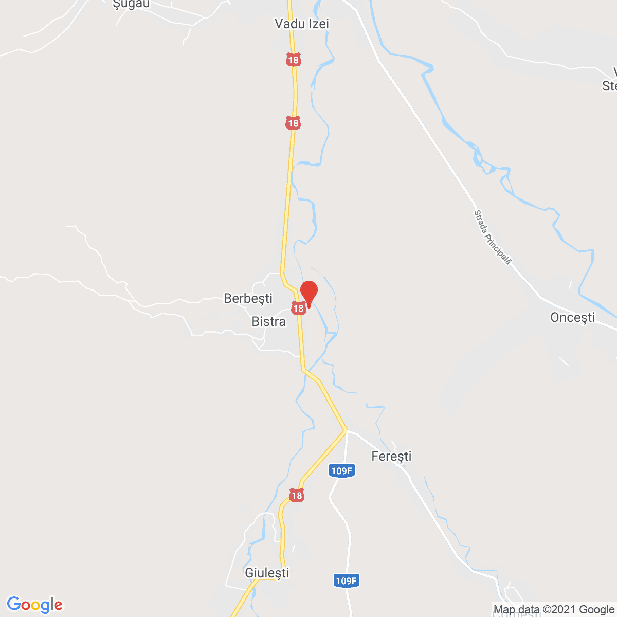 Berbești