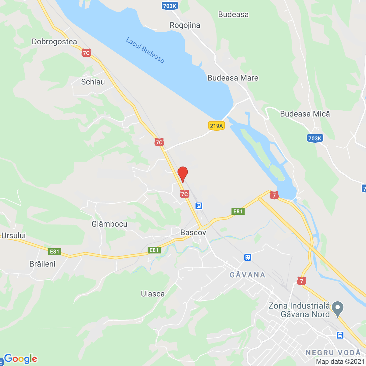 Başcov