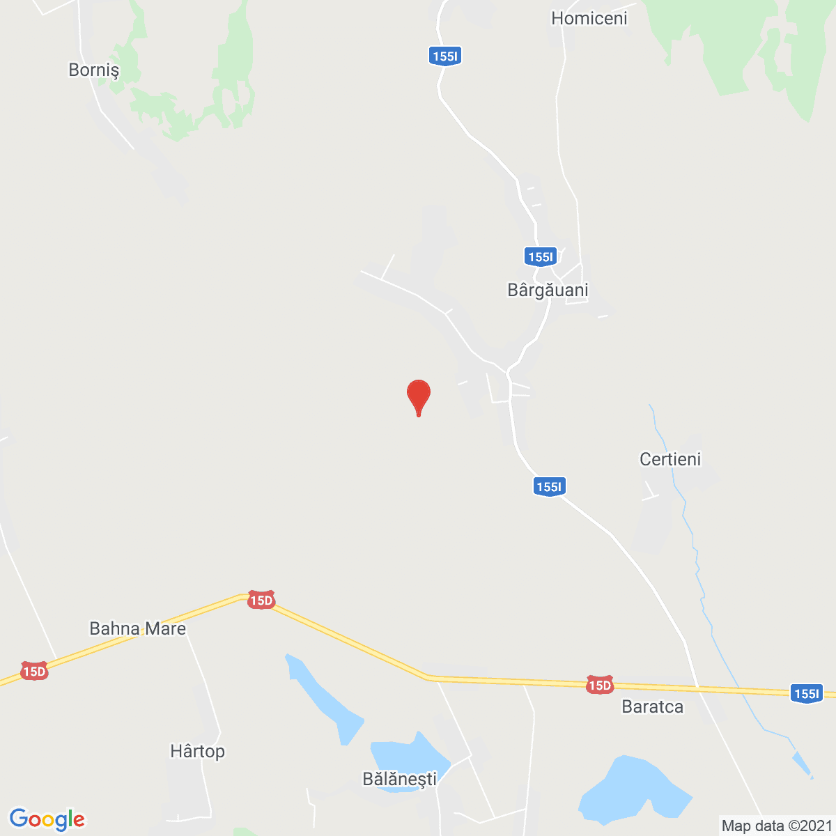 Bârgăuani