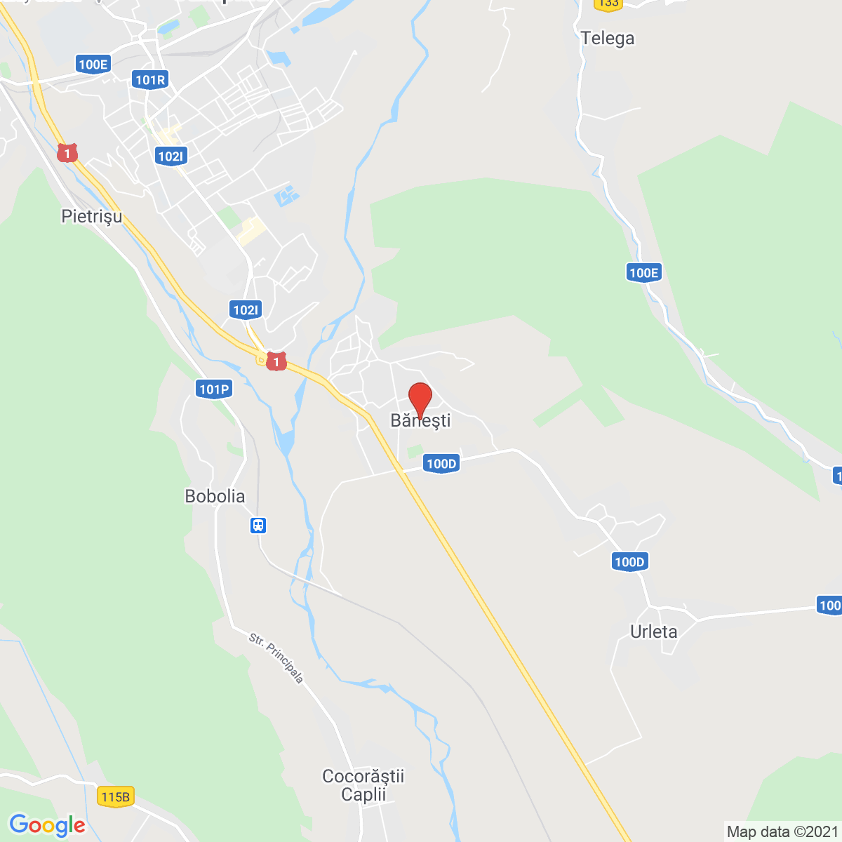 Băneşti