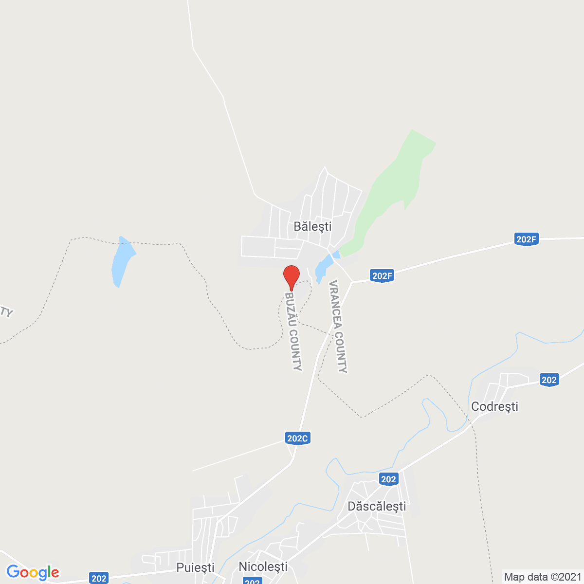 Băleşti