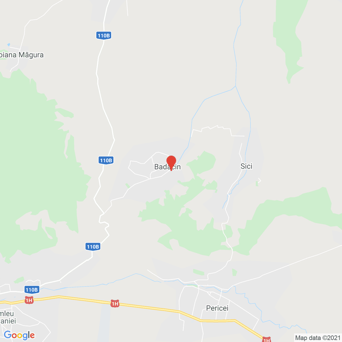 Bădăcin