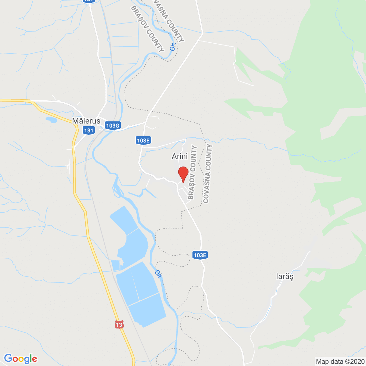 Arini