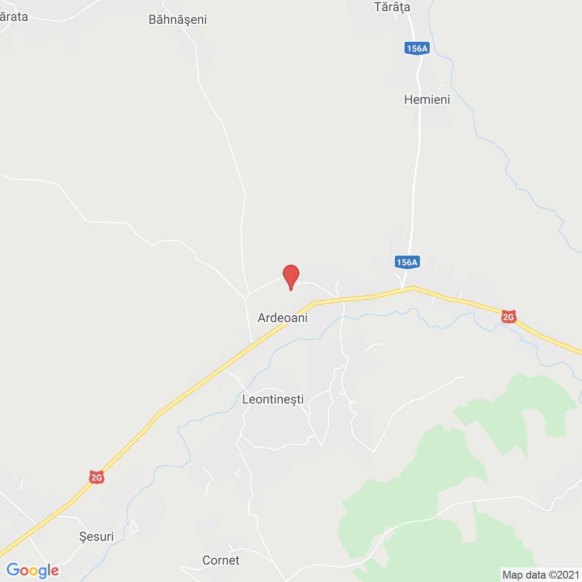 Ardeoani