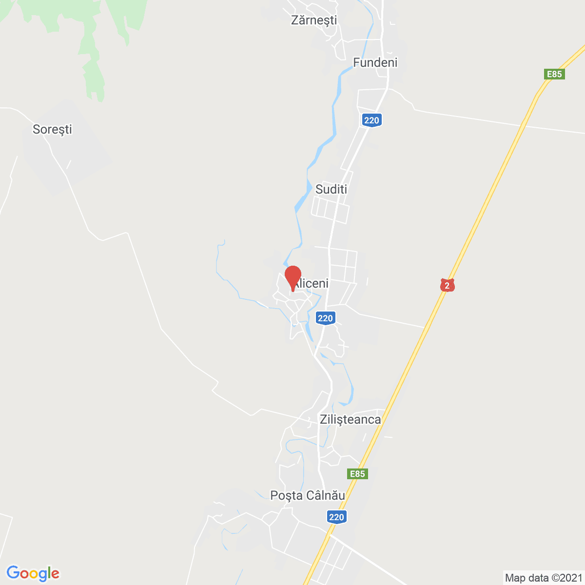 Aliceni