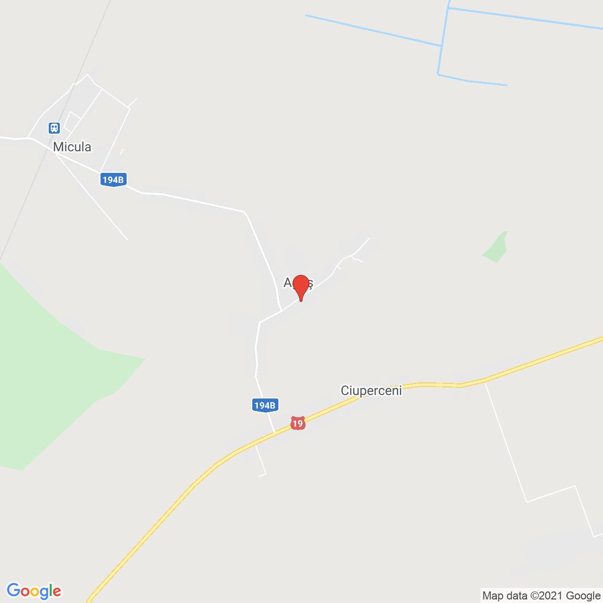 Agriș